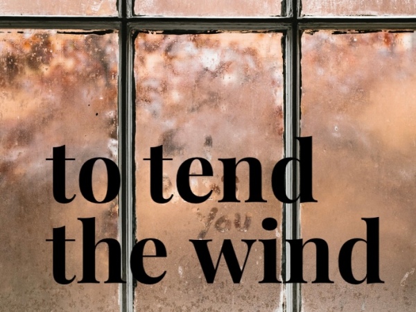To Tend the Wind: The Full Story
