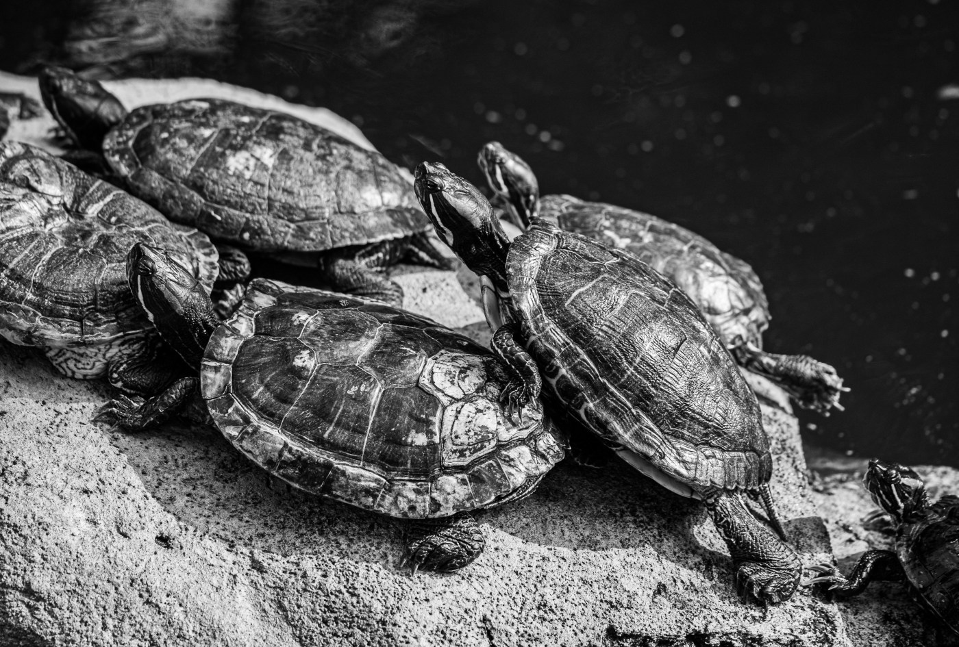 Photo by Chris Vanhove on Unsplash